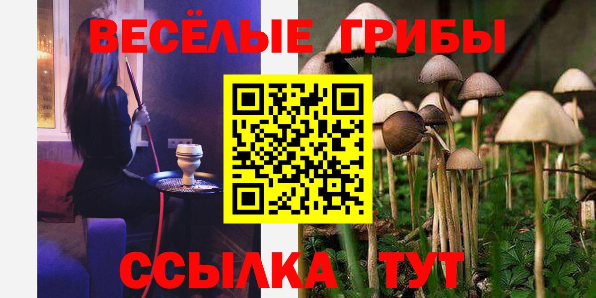 Галлюциногенные грибы Psilocybine cubensis Муром